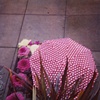 Polka dot umbrella