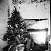 Christmas Tree, St. Bernard