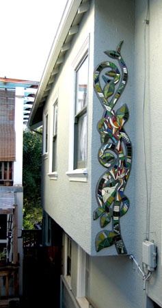 Frog Vine