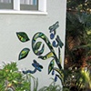 Side Vine