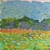 Open Field