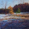"Late Afternoon Sun"