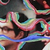 Shimmering Path-detail
