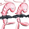 Little Shrimp