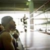 Ring Spectator