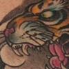 snake and tiger chest