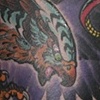 Hawk and snake