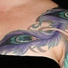 Dani's pheonix