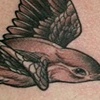 2 birds