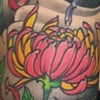 Kelly's flowers