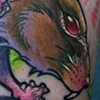 rat and jaw