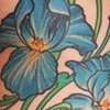 iris ribs