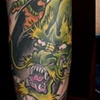 green dragon sleeve