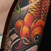 Gold fish
