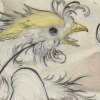 phionex sketch for back