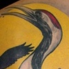 Brandi's crane