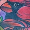 cardinal