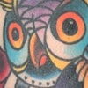 owl and roses