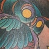 owl hip