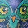 owl shin