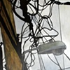 Detail: The Sentinel