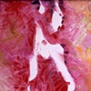 Figure Studies