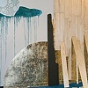 Wood Falls & The Wunderkammer