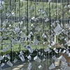 Memory Cloud