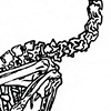 Bird II