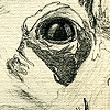 drawings