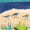 three plovers