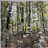 Un-dramatics: Fall: Blue and Orange in the Landscape Reassembled