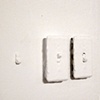 what is gathered (detail)