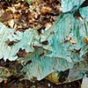Un-dramatics: Fall: Blue and Orange in the Landscape