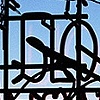 Signs and Wonders