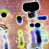 Oil and Water