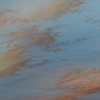 Signs and Wonders