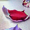 Untitled (Memorial Day)