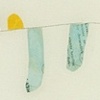 socks on clothes line (10 things)