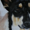TILLIE