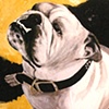 WINSTON