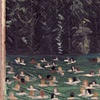 SWIMMING HOLE