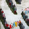 HUMAN MAZE II - DETAIL