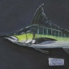 BLUE MARLIN STUFFED