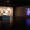 Installation Shot