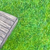 Sam's yard