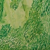 Sam's yard, ground cover #2, Katy Gaydell Collier