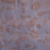 Landspace, Katy Gaydell Collier
