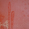 Landspace, Katy Gaydell Collier