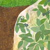 Sam's yard, low bush cover #1, Katy Gaydell Collier
